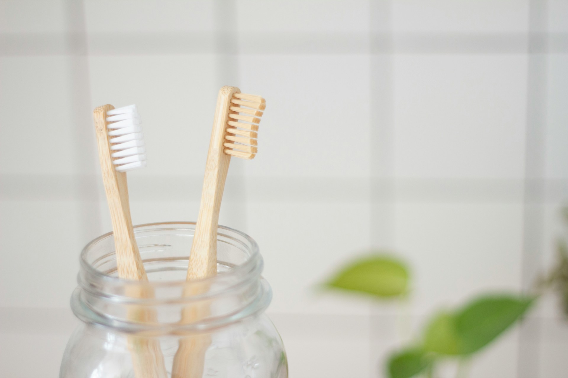 two toothbrushes sticking up from glass jar